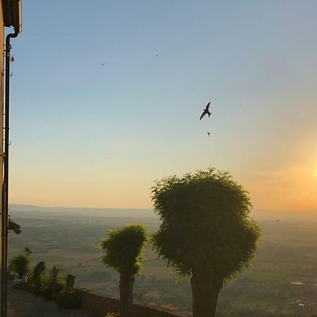 Una Pausa Te Per L'Anima - Casa Vacanza Cortona Eksteriør bilde